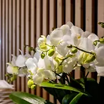 Hotel Cridola Dolomiti Experience Lorenzago Di Cadore