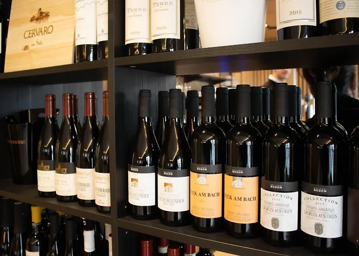 Cridola Dolomiti Experience Hotel 3*